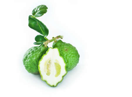 Citrus hystrix on white background