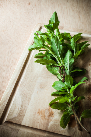 holy basil herbs on wood chopping blockの写真素材