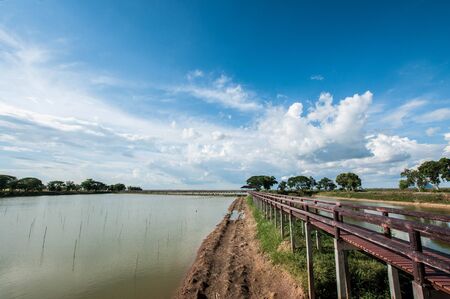 pontoon bridge with blue sky landscpaeの写真素材