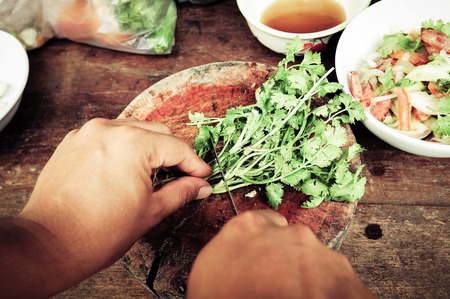 hands cutting vegetableの写真素材