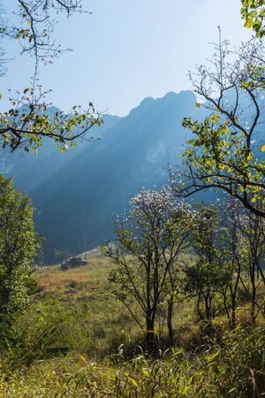 Mountain of Doi Luang Chiang Dao natural park Landscape, Chiang Mai, Thailand.の写真素材