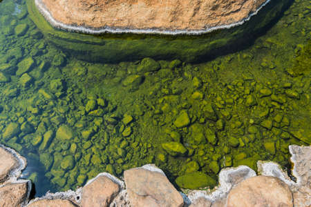 green on stone of hot spring pond closeupの写真素材