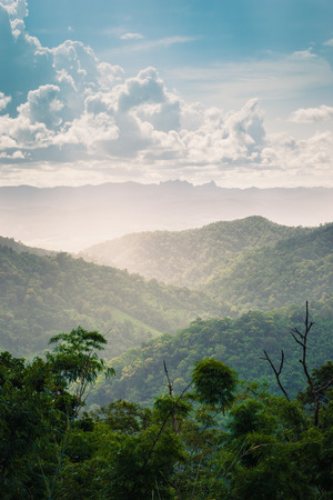 Landscape of mountain green forest and clouds skyの写真素材