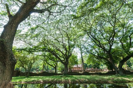 Old city of worship place landmarks, history park of Si-Satchanalai, Sukhothai province, Thailand.の写真素材