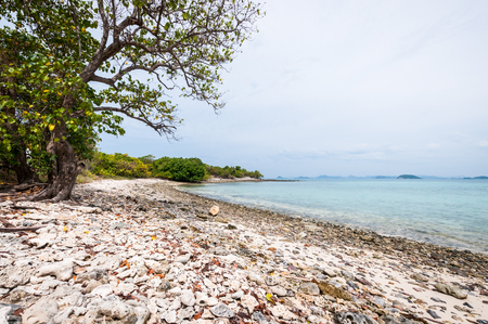 Landscape of sea beach with clouds skyの写真素材