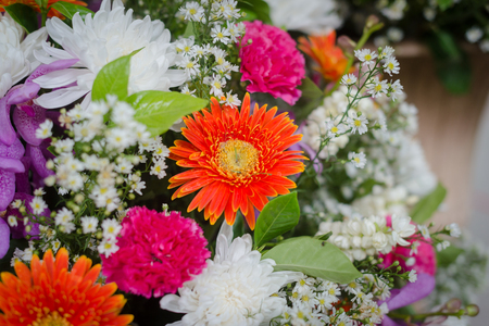 Bunch of color flower for interior decoratedの写真素材