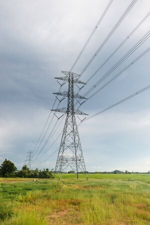 Electrical link cable with farm rice landscapeの写真素材