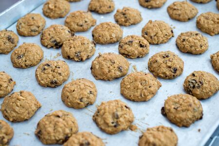 Closeup of chocolate grains cookieの写真素材