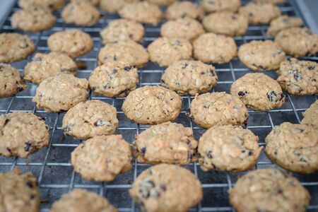 Closeup of chocolate grains cookieの写真素材
