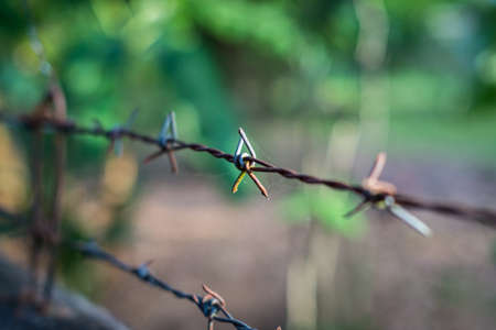 Closeup of grunge barbed wire
