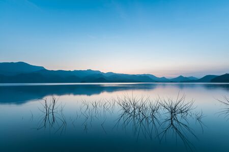 Tree branch in the lake with mountain and sky landscapeの写真素材