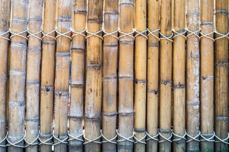 Pattern background of grunge bamboo plankの写真素材