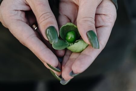 girl with green manicure holds a green cranberry in her handsの写真素材