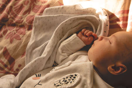 baby sleeps during the day in the sunの写真素材