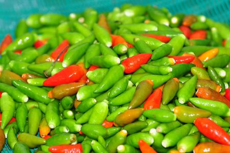 hot chilli in Thailand