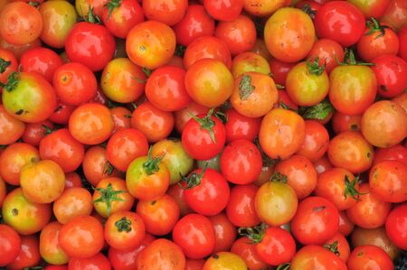 Tomato in the marketの写真素材