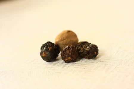 Seed on white backgroundの写真素材