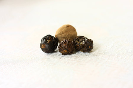 Seed on white backgroundの写真素材