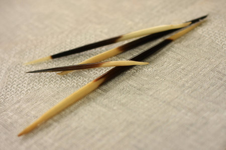 Furry hedgehogの写真素材