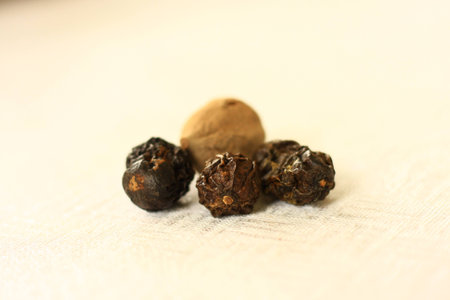 Seed on white backgroundの写真素材