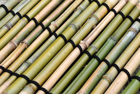 bambooの写真素材