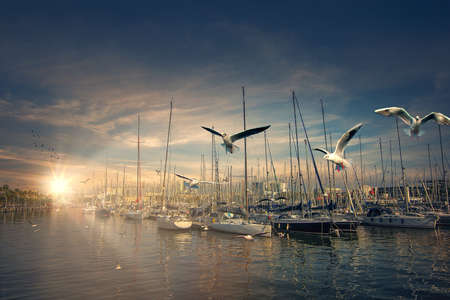 sunset on the marinaの写真素材