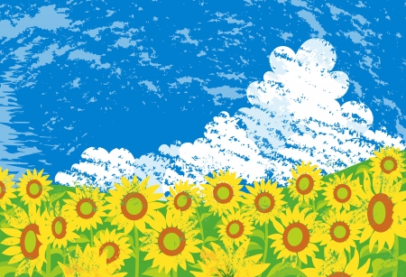 Sunflower fieldのイラスト素材