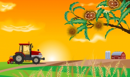 Autumn Farmのイラスト素材