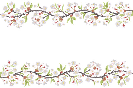 Cherry Blossom Branch frameのイラスト素材