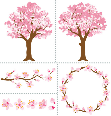 Cherry Blossoms for Design Elementsのイラスト素材