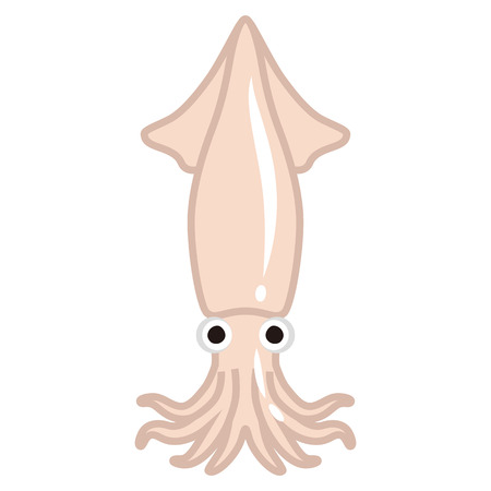 Squidのイラスト素材