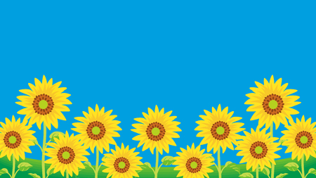 Background of Sunflowers Vector illustration.のイラスト素材