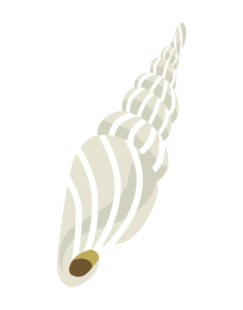 White colored Conch Seashell clip art iconのイラスト素材