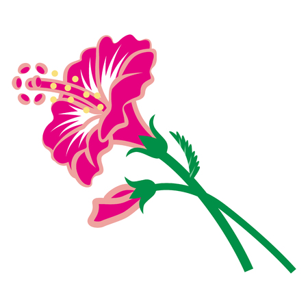 Hibiscus flowerのイラスト素材