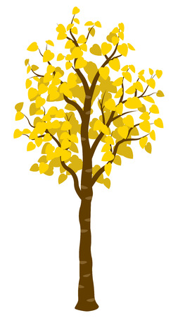 Yellow colored autumn treeのイラスト素材
