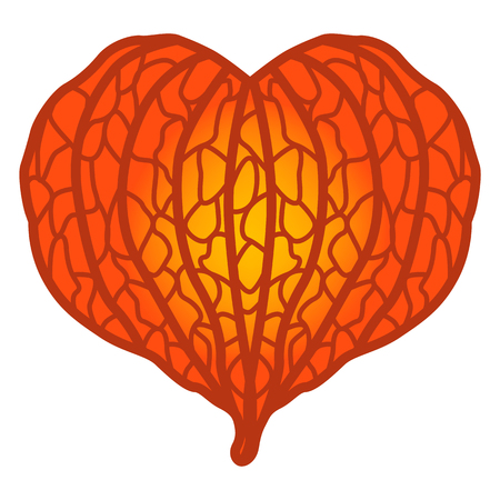 Japanese Winter Cherry Clip artのイラスト素材