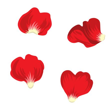 Red rose petalsのイラスト素材