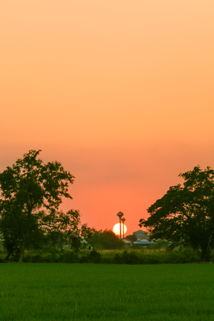 sunset in the village area of ayutthaya ,thailandの写真素材