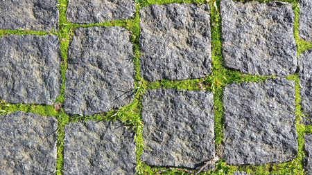 Cobblestone Pavement with Growing Grass. Cobblestone pavement with grass growing between the stones, creating a natural texture.の写真素材