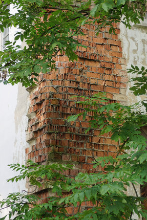 Weathered Brickwork and Lush Green Leavesの写真素材