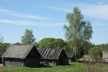 Rustic Wooden Sheds in a Green Field under Blue Skyの写真素材