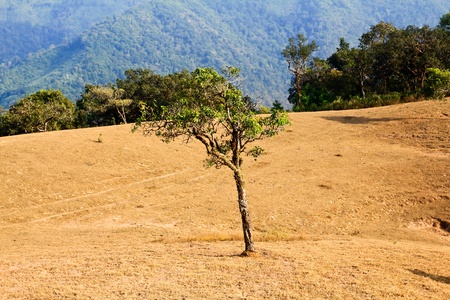 Mountainの写真素材