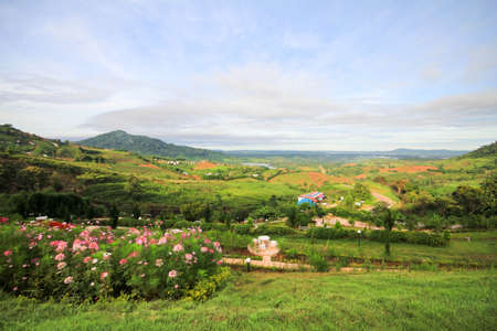 flowerの写真素材