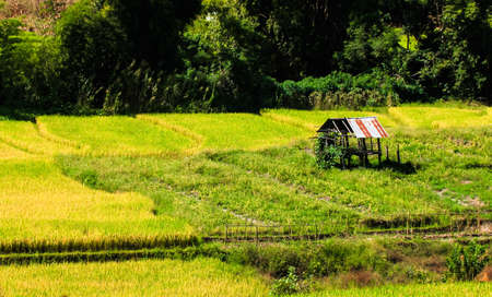 cottageの写真素材