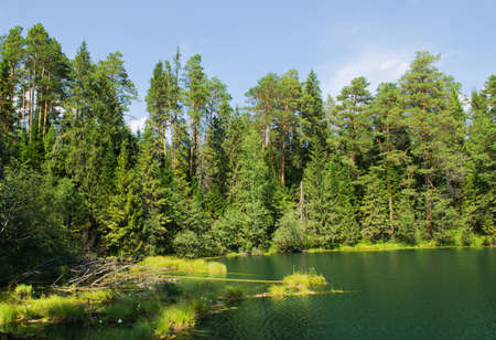 Lake  " Bezdonnoe" in summer sunny day. Russia, Uralの写真素材