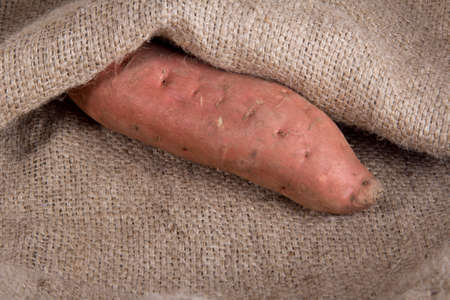 Rustic Organic Sweet Potatoの写真素材