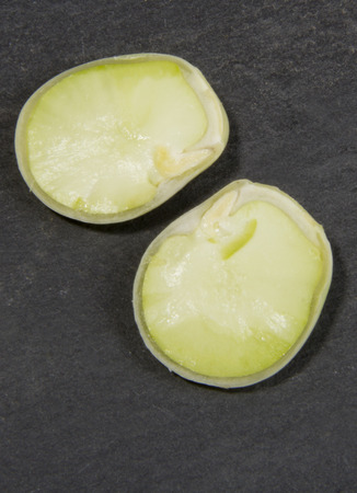 Organic Broad Bean Sliced in Half
