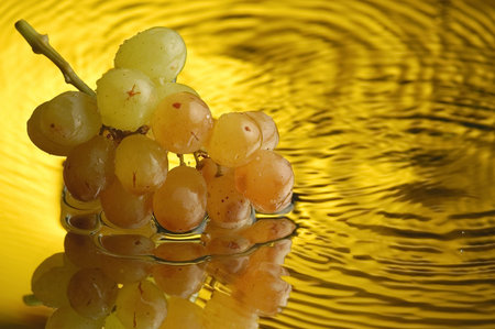Grapes and water on a mirrorの写真素材
