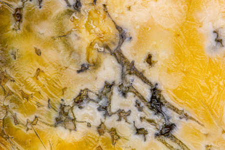 Cheese with mold. A large sliced piece of cheese with holes, long been spoiled and covered with mold. Beautiful view of spoiled food. Yellow moldy cheese. Blue cheese. Milk productの写真素材