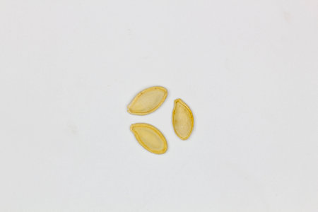 Dried pumpkin seeds in husks. Yellow pumpkin seeds on a white background. Isolated. Flat oval seed of squash. Edible seed of a pumpkin. Healthy food. Natural product. Roasted snackの写真素材